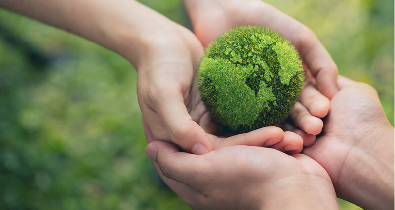 Hands holding green earth_D